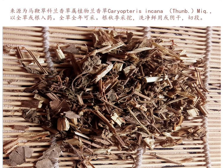 兰香草4.jpg