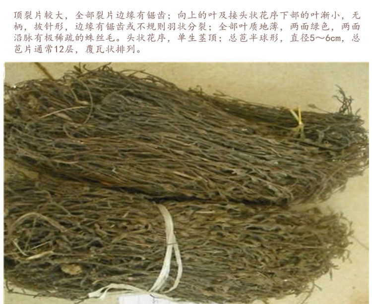 鹿草3.jpg