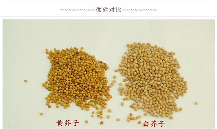 白芥子5.jpg