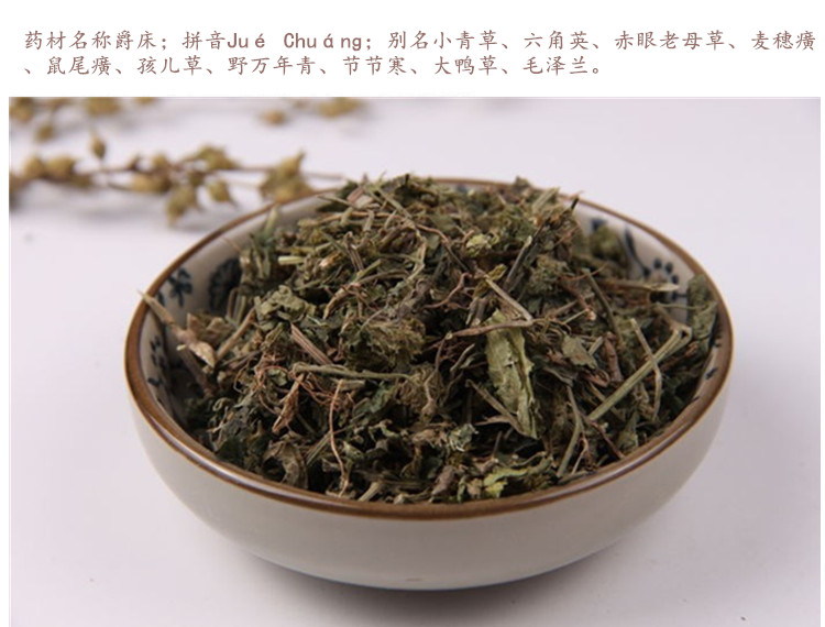 爵床3.jpg