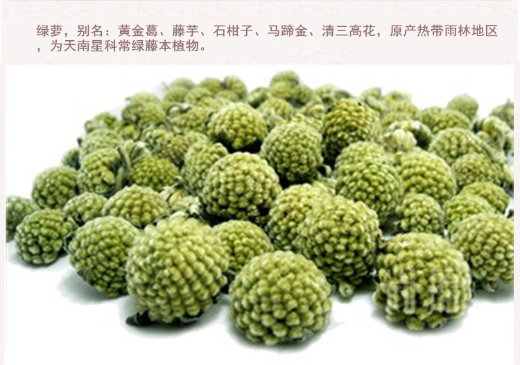 绿萝花4.jpg