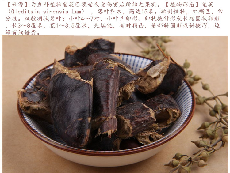 大皂角4.jpg