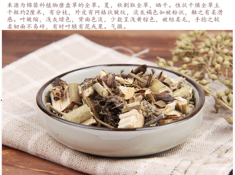 磨盘草5.jpg