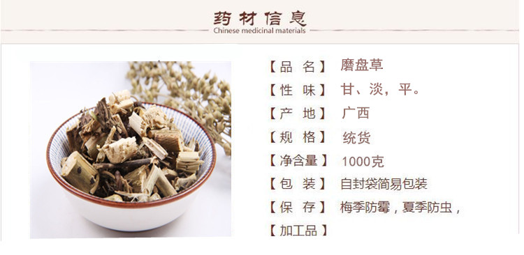 磨盘草1.jpg