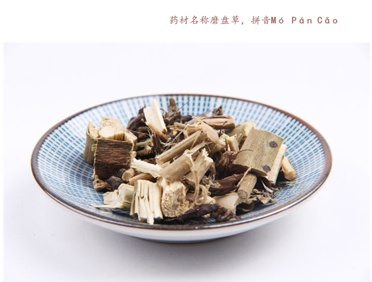 磨盘草3.jpg