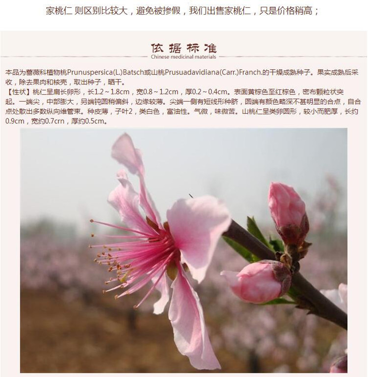 去皮选桃仁5.jpg
