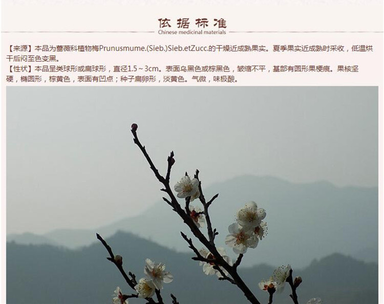 乌梅5.jpg