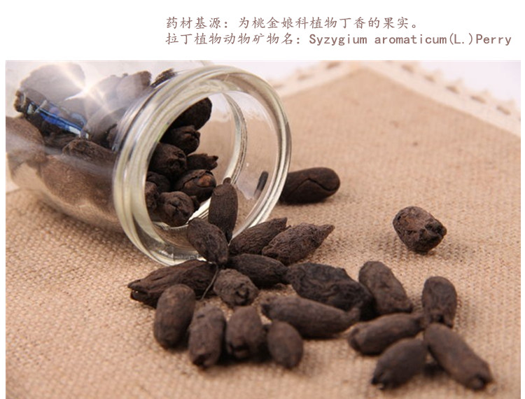 母丁香3.jpg
