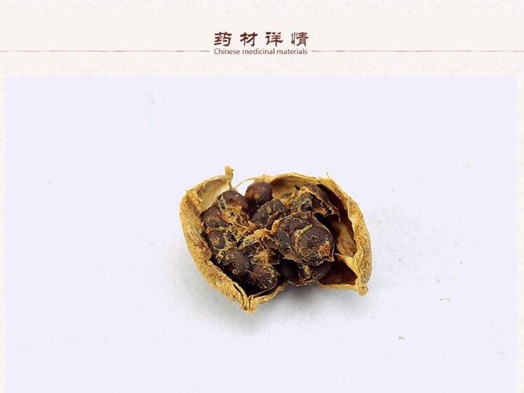 益智2.jpg