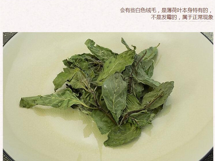 薄荷6.jpg