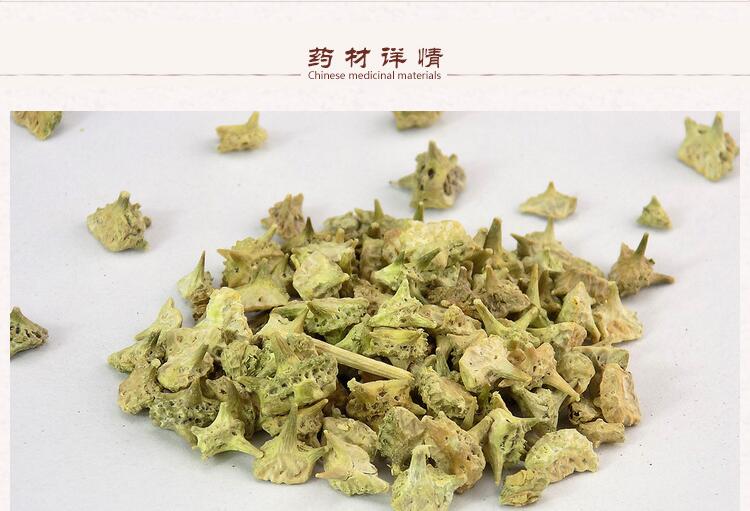 蒺藜3.jpg