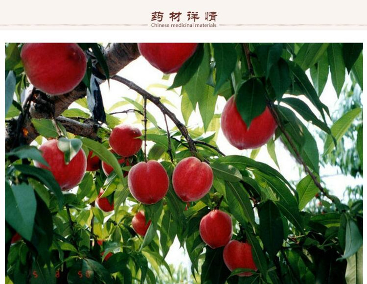 选货桃仁2.jpg