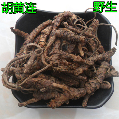 胡黄连个子01.jpg