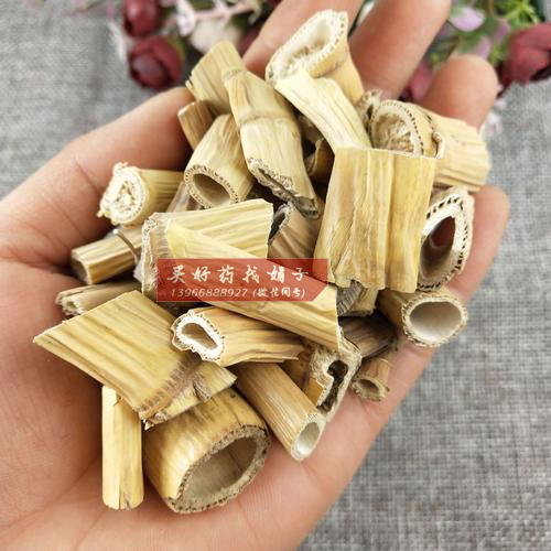 芦根 (1).jpg