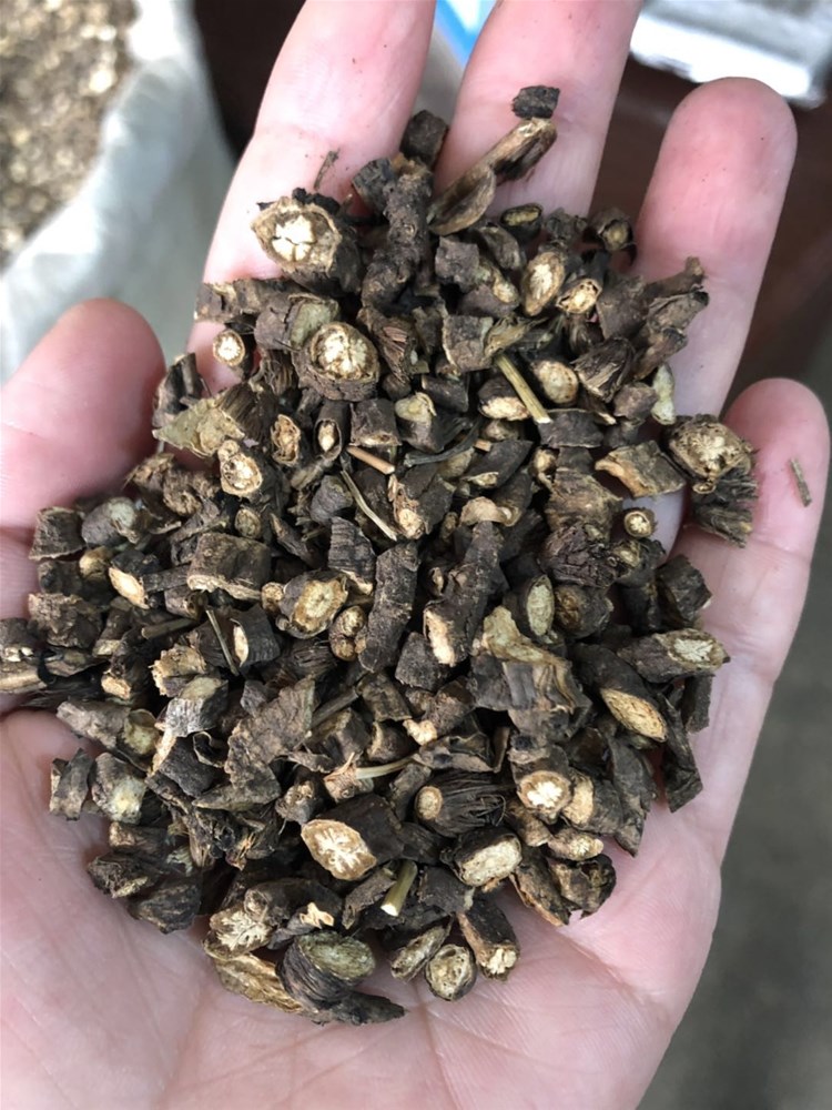 内蒙黑柴胡140  01.jpg