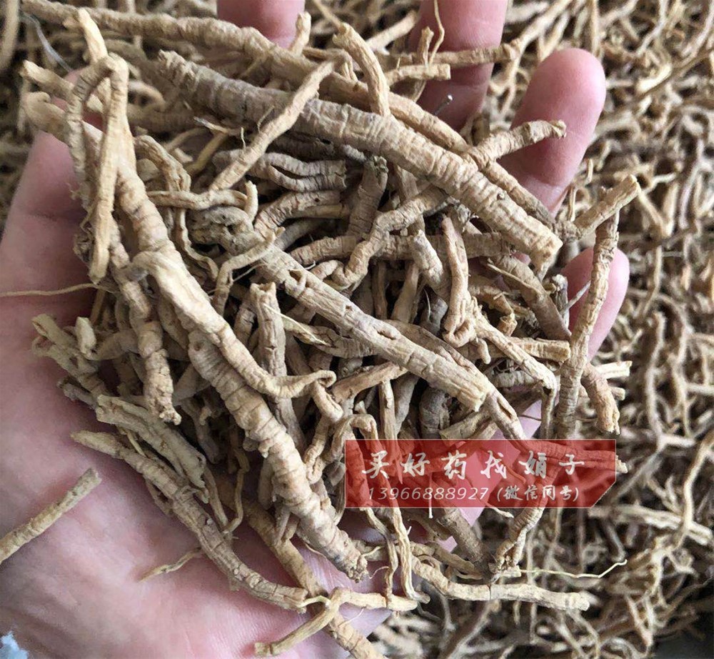 远志 抽芯率90% 145  (3).jpg