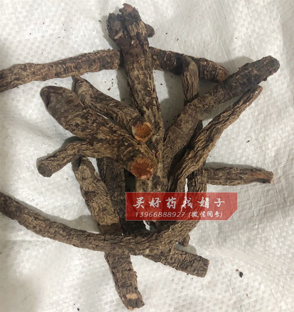 血 三七 (3).jpg