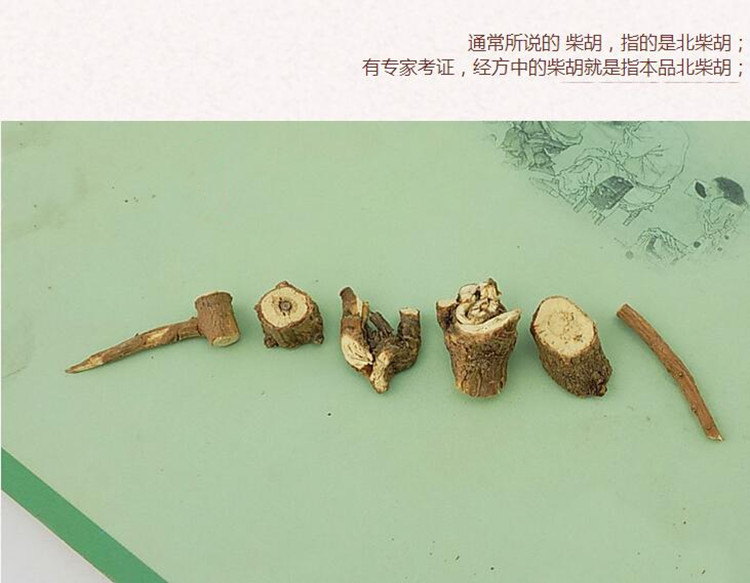 柴胡3.jpg