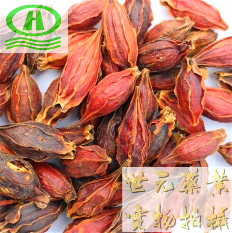 破壁灵芝孢子.jpg