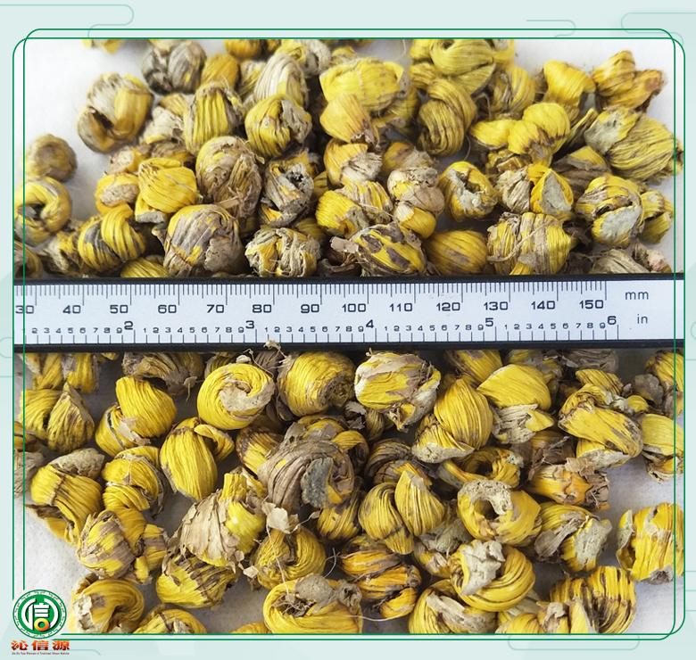 maolanshihufengdou08.jpg