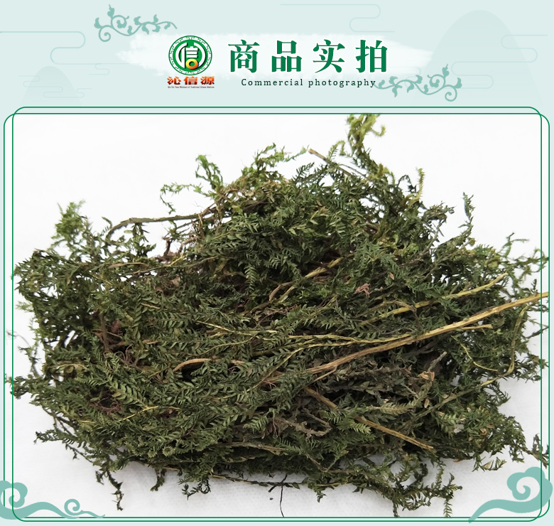 shishangbaizhengzhutong07.jpg