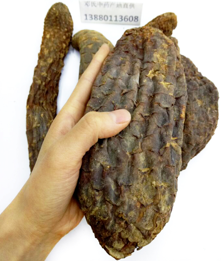 roicongrongyingdagezial018.jpg