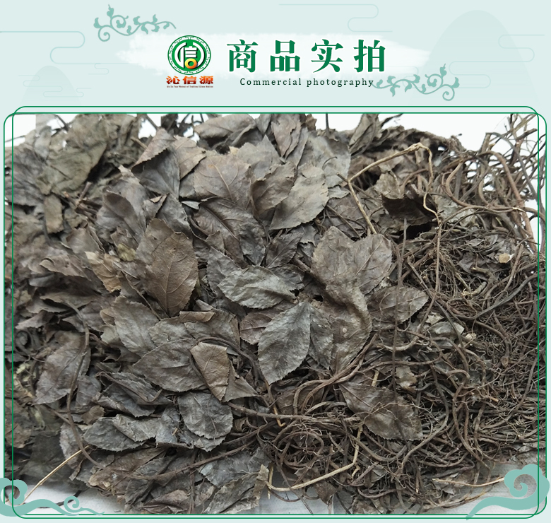 aidichazhengzhutong07.jpg