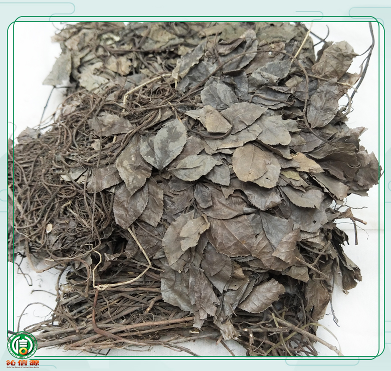 aidichazhengzhutong011.jpg