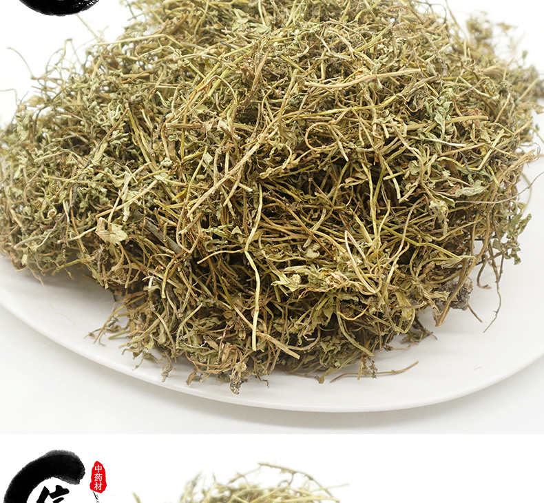 鹅不食草详情_05.jpg