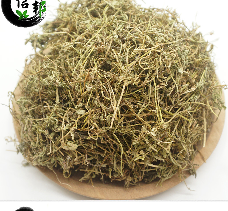鹅不食草详情_06.jpg
