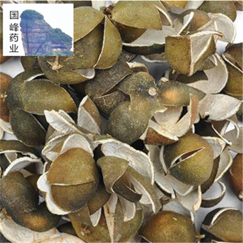 $642ZH}B2CWP8RASKDOF]YE_副本.png