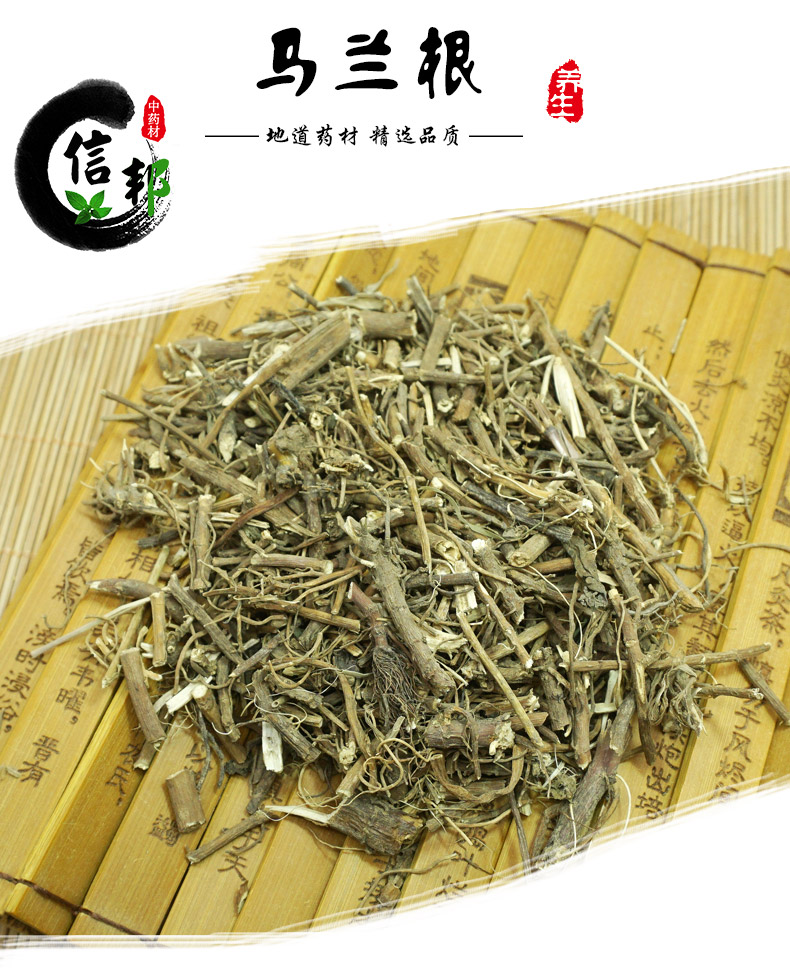 马兰根详情-1.jpg