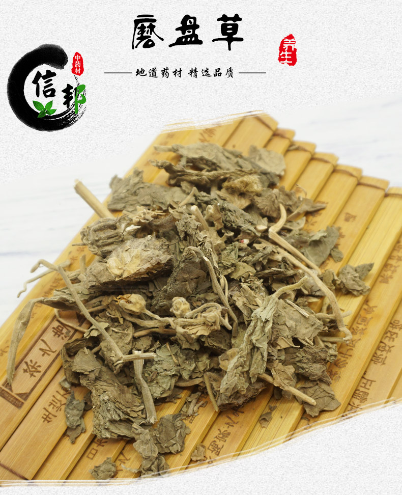 磨盘草详情1.jpg