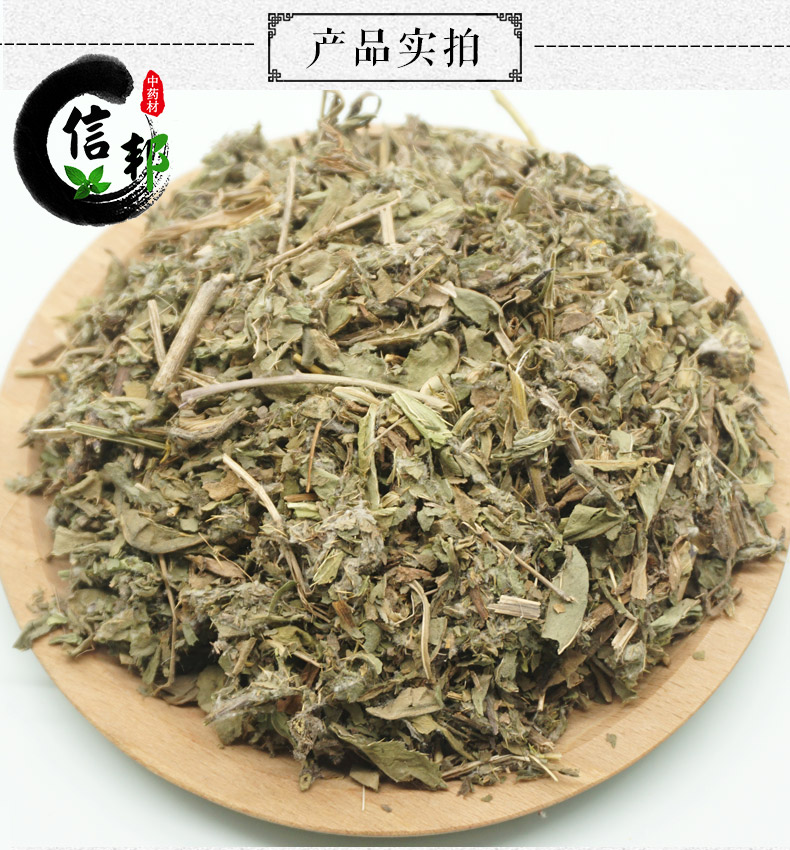 小蓟详情1.jpg