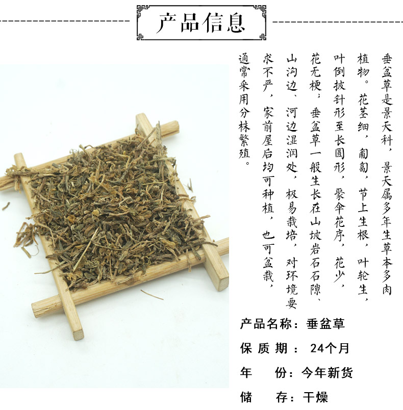 垂盆草详情2.jpg