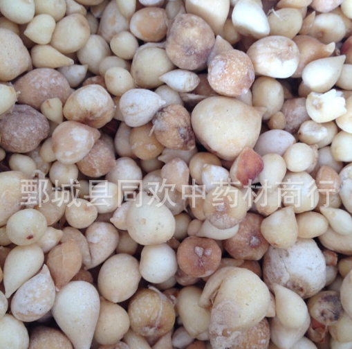 QQ截图20191206174711.png