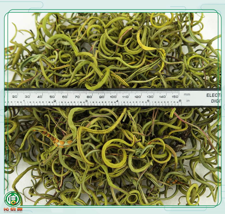 huashicaotong08.jpg