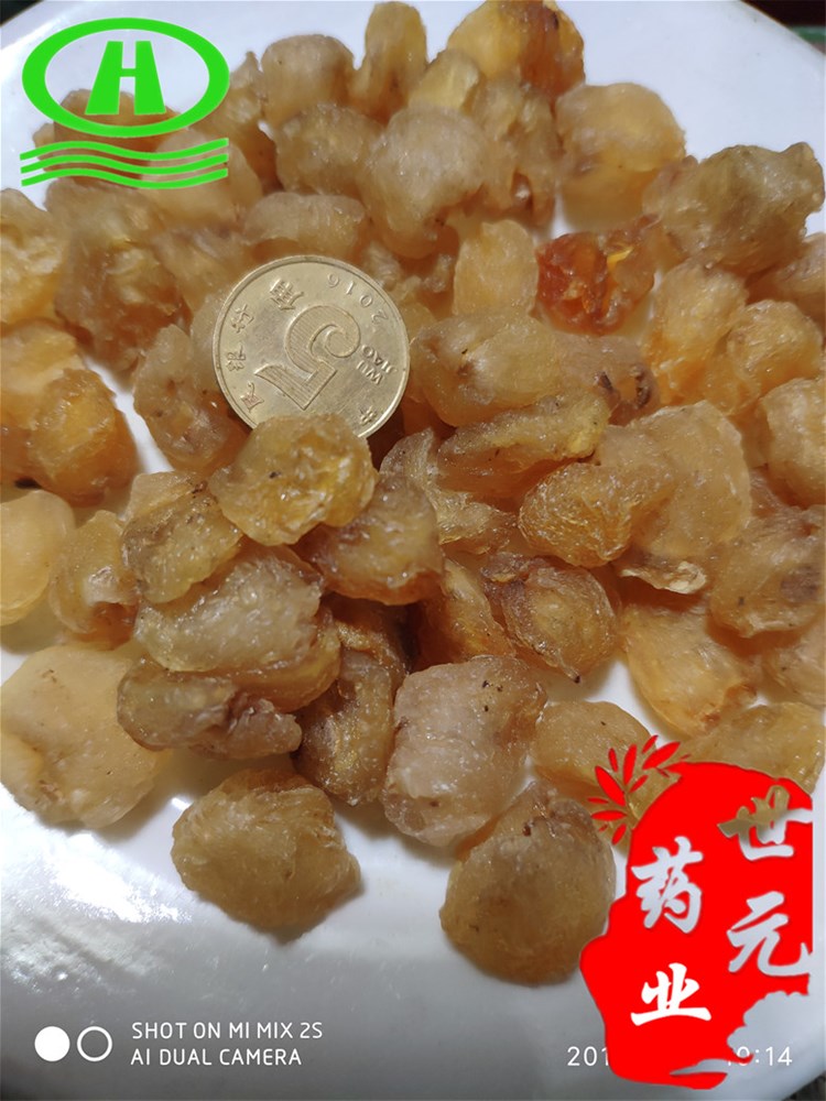 桂圆肉63胖龙眼肉~03_副本.jpg