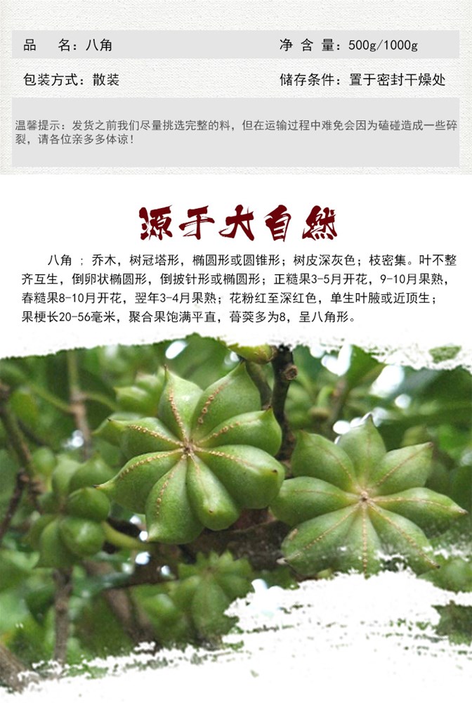 八角3.jpg