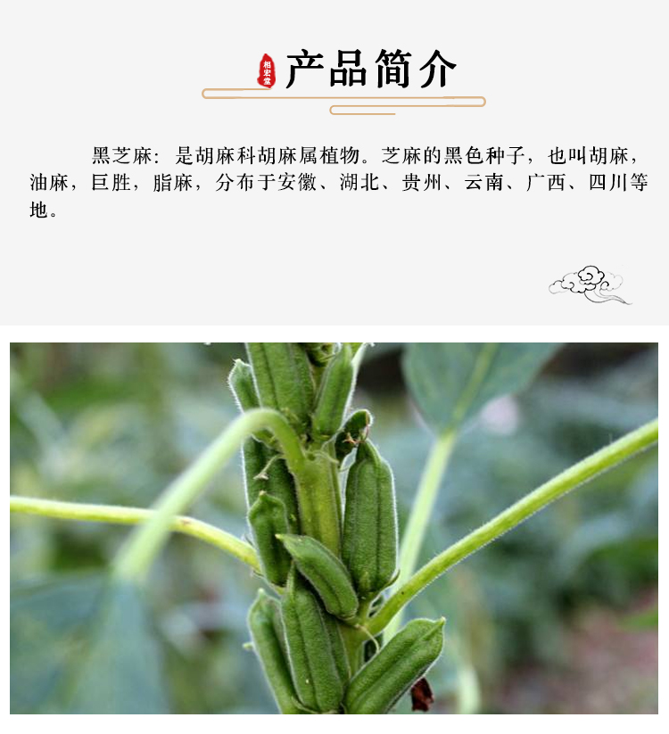 黑芝麻7.jpg