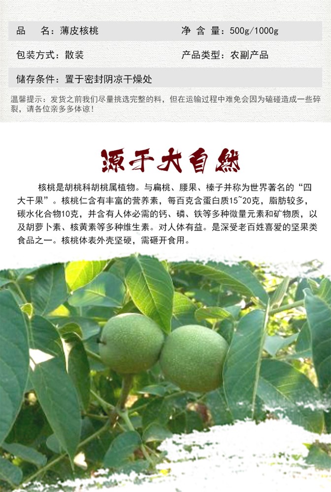 核桃3.jpg