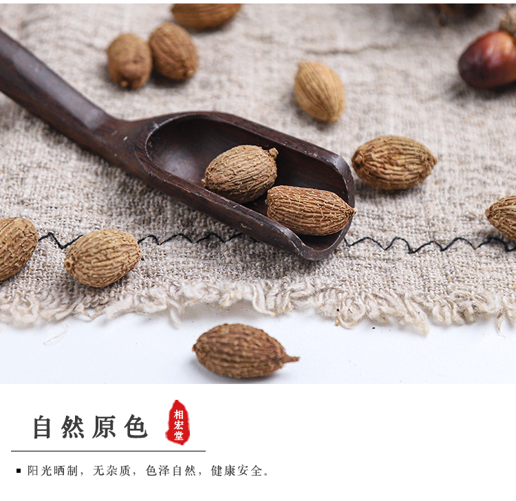 西砂仁_05.jpg