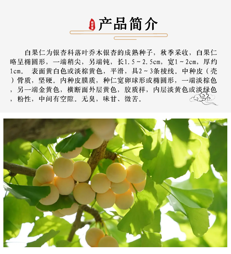 白果仁7.jpg