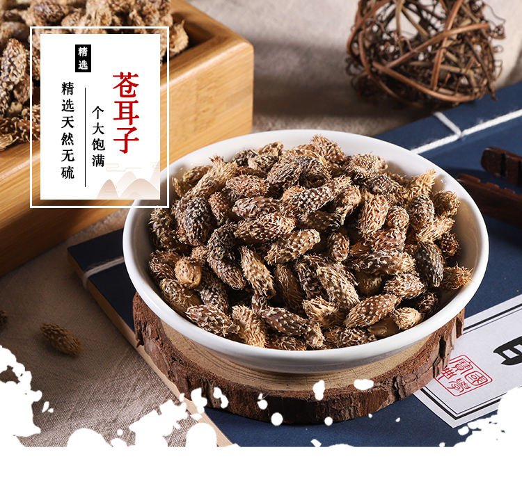 苍耳子1.jpg