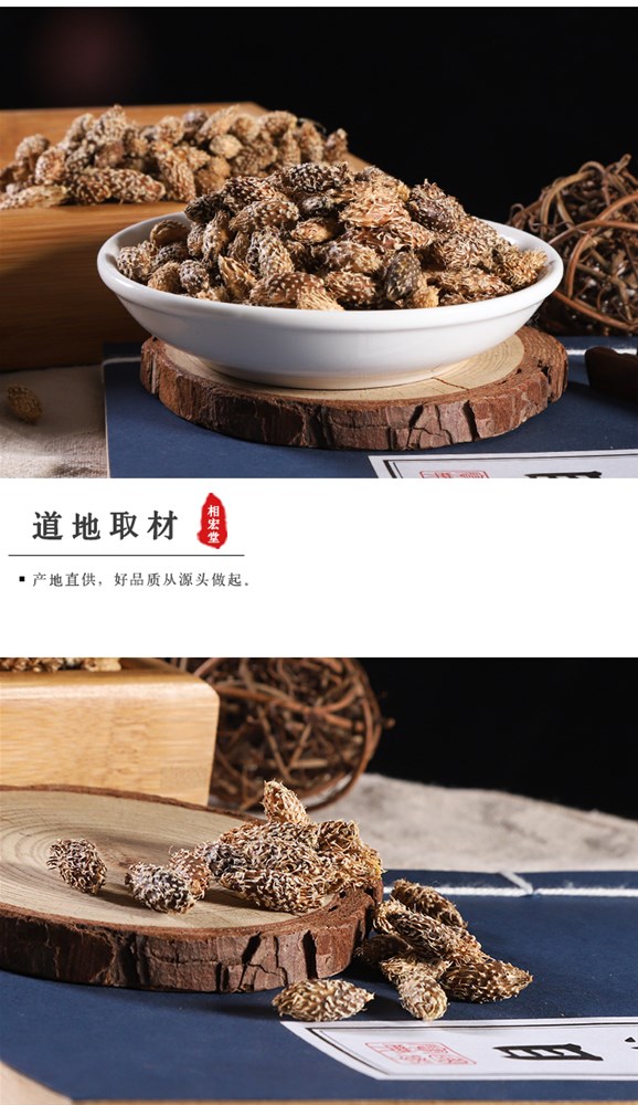 苍耳子6.jpg