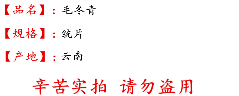 毛冬青统片描述.jpg