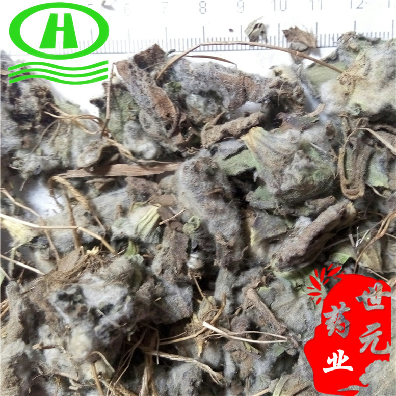 咽喉草30东~04_副本.jpg