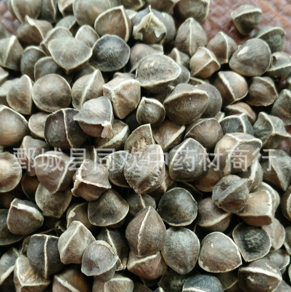 QQ截图20191212225035.png