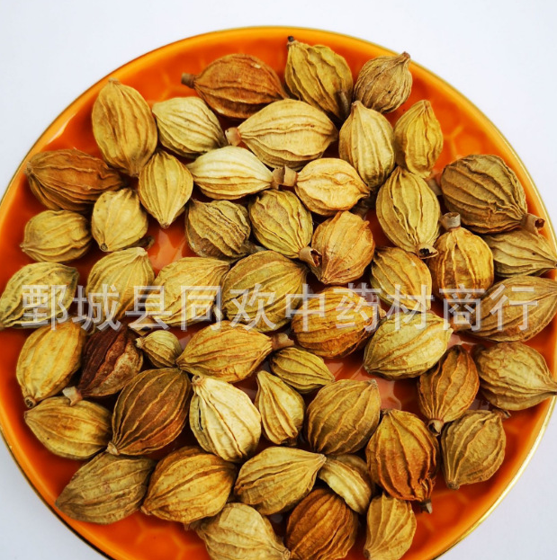 QQ截图20191217233200.png