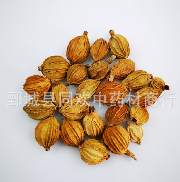 QQ截图20191217233152.png